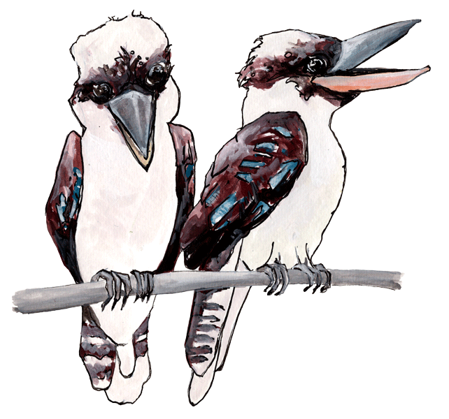 Johnny and Joyce Kookaburras