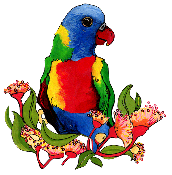 Lorikeet - Queensland Storyteller